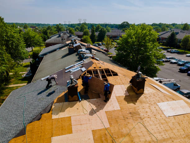 Trusted Roof Installation service in Shingletown, CA - Brentwood Metal Roofing